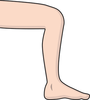 膝　 膝,足,関節,体,パーツ,シンプル,線画のイラスト素材