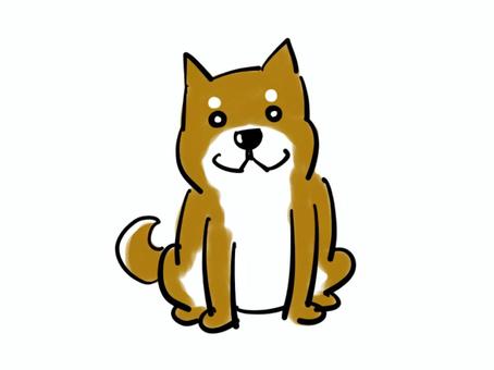 お座りする柴犬 犬,柴犬,動物,お座り,茶色,日本犬,かわいい,イラスト,素材,挿絵のイラスト素材