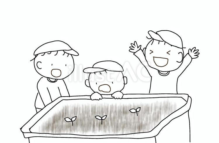 芽が出たよ　帽子 栽培,プランター,子どものイラスト素材
