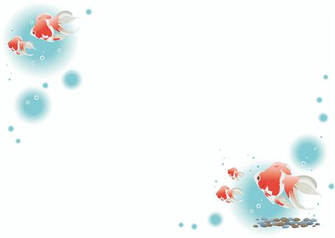 背景＜金魚＞ 背景,金魚,リュウキン,水中,夏,ポストカード,メッセージカード,グリーティングカード,カード,チラシのイラスト素材