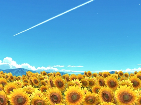 真夏の青い空に咲くひまわり畑と飛行機雲 ヒマワリ,飛行機雲,夏,山,空,青,畑のイラスト素材