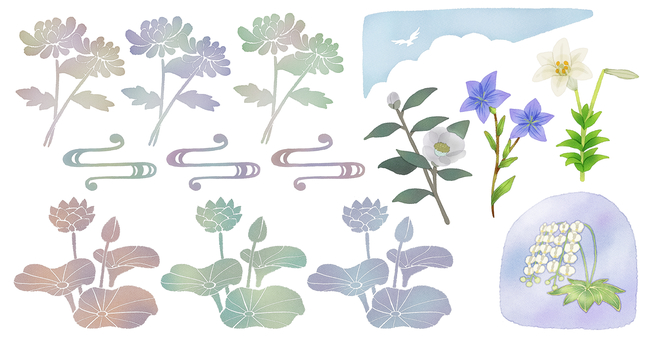 喪中はがき挿絵  喪中,植物,花,空,鳥,川,水,菊,蓮,キキョウのイラスト素材