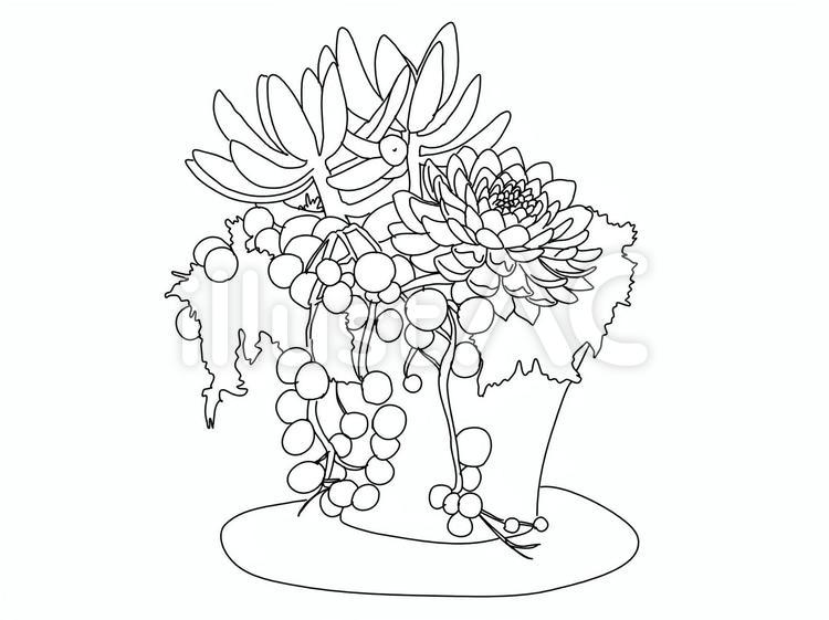 手書き風の観葉植物・線のみ 手書き,植物,葉のイラスト素材