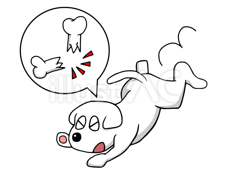 骨折する子犬 犬,子犬,骨折のイラスト素材