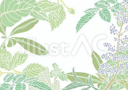 植物の枠 背景画像