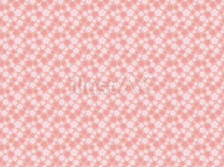 梅の花のパターン全面背景 梅,花,春のイラスト素材