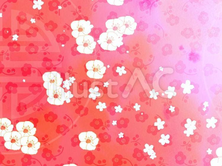 桜フレーム 和柄,素材,綺麗のイラスト素材