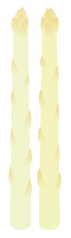 Illustration, white asparagus, white, bundle, 