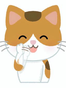 三毛猫否定 三毛猫,否定,拒否,謙遜,ネコ,キャット,動物,ペット,日本猫,和猫のイラスト素材