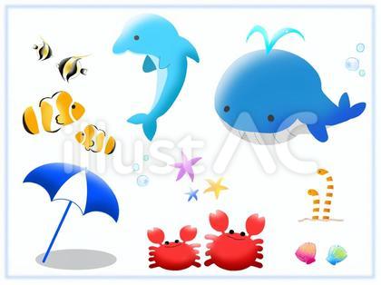 海のイラストセット⭐︎