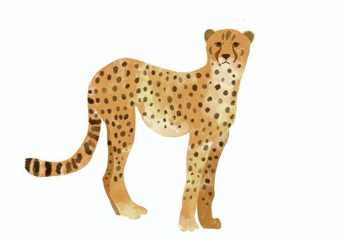 テクスチャーチーター チーター,動物,可愛い,テクスチャー,サバンナのイラスト素材