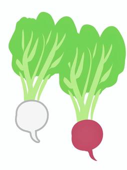カブと赤カブ カブ,赤株,食べ物,野菜,葉,シンプル,おいしい,かわいいのイラスト素材