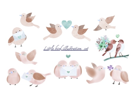 Illustration, bird, cute, set, 