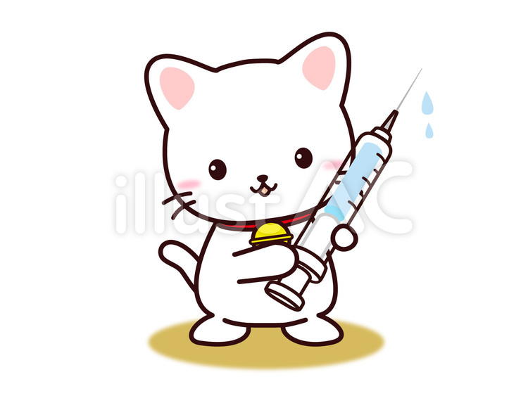 ねこさん（注射） ねこ,注射,予防接種のイラスト素材