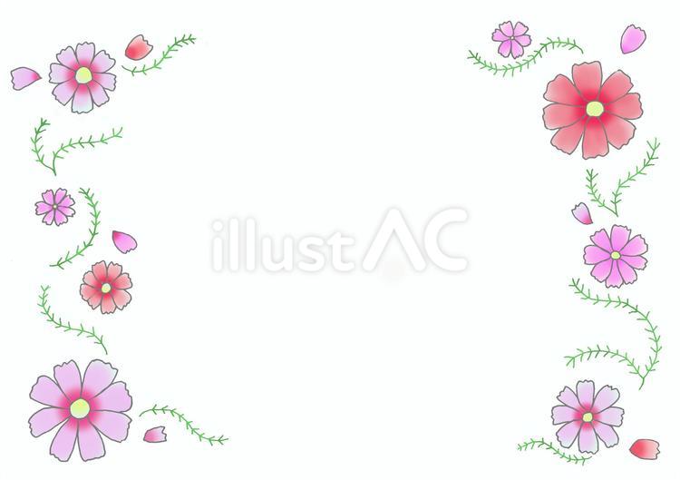 コスモスのフレーム コスモス,枠,お知らせのイラスト素材