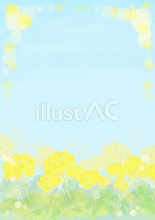 水彩風の菜の花畑と青空の背景(縦 菜の花,水彩,春のイラスト素材