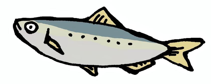 いわし いわし,鰯,海,小魚,子いわし,魚,海産物,鮮魚,青魚,海洋生物のイラスト素材