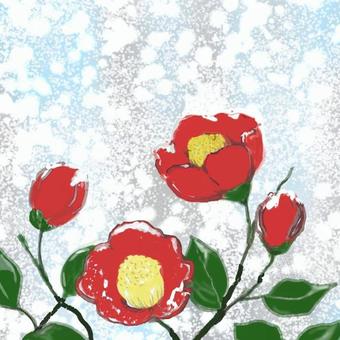 寒椿 椿,花,赤,雪,枝のイラスト素材