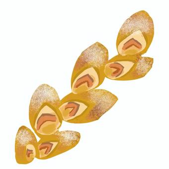 ベーコンエピ_ややゆるめ_カラー パン,ベーコンエピ,ベーコン,エピ,ベーカリー,おしゃれ,丁寧,暮らし,手描き,ゆるめのイラスト素材