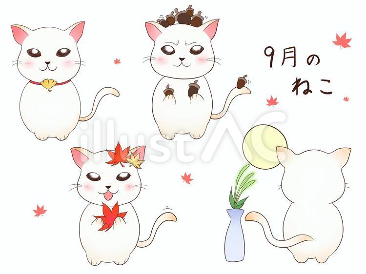 9月のねこ 9月,秋,猫のイラスト素材