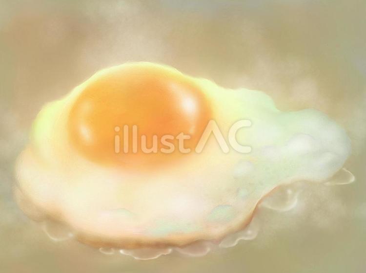 目玉焼き -Fried egg- 目玉焼き,卵,玉子のイラスト素材