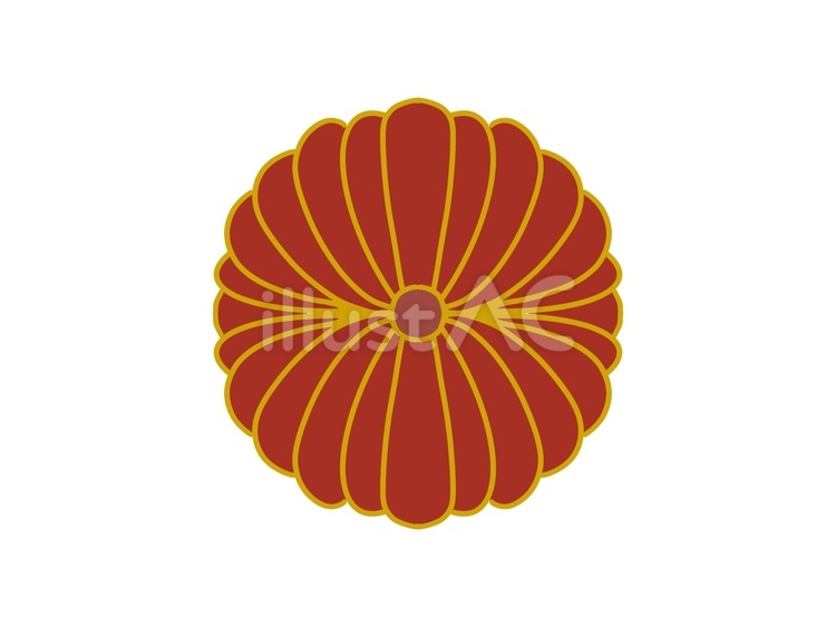 菊の花の素材 菊,模様,お祝いのイラスト素材