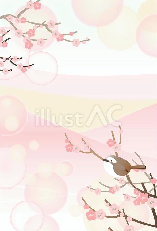梅と鶯(はがきサイズ) かわいい,ピンク,春のイラスト素材
