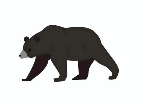 目つきが怖い熊 熊,ヒグマ,害獣,リアル,全身,主線なし,カラー,哺乳類,野生動物,大型のイラスト素材