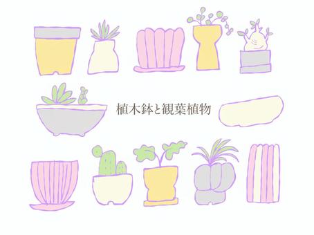 Illustration, flower pot, foliage plant, flower base, 