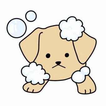 お風呂の犬 お風呂,風呂,お湯,湯船,洗う,シャワー,体洗い,丸洗い,まったり,シャンプーのイラスト素材