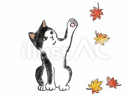 ねこと落ち葉 4 ハチワレと紅葉