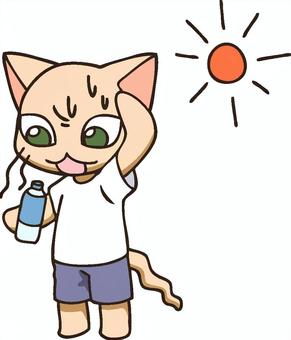 Illustration of a cat hydrating on a hot day, cat, summer, water, JPG, PNG and AI