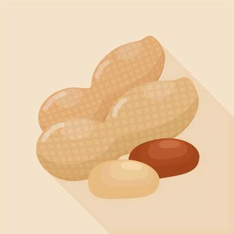 ピーナツ ピーナツ,秋,秋の味覚,ピーナッツ,落花生,旬,食べ物,豆,節分,豆まきのイラスト素材