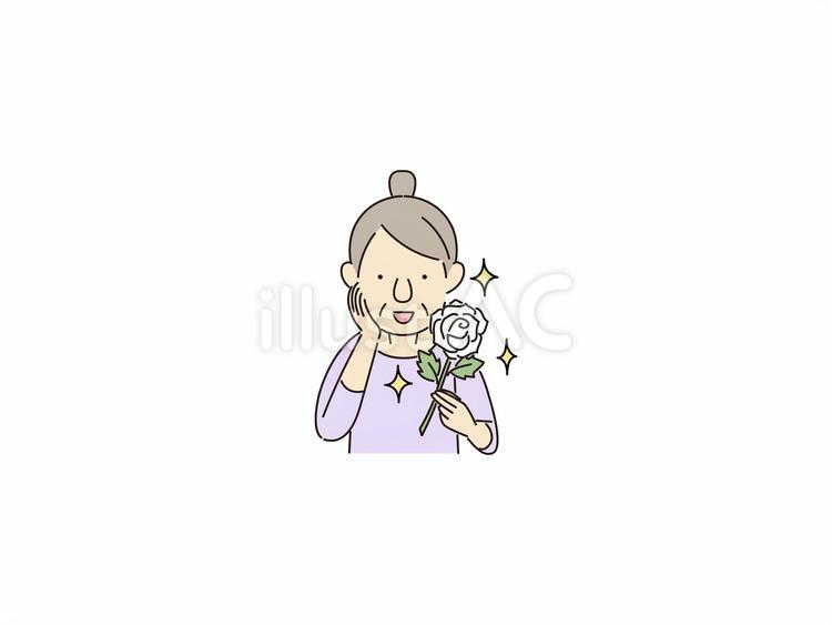 白い薔薇をもらうおばあちゃん 白い薔薇,プレゼント,感動のイラスト素材
