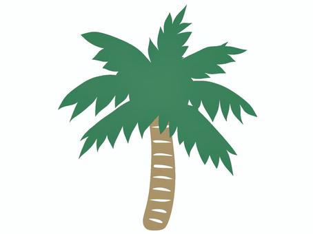 Illustration, palm tree, plant, wood, 