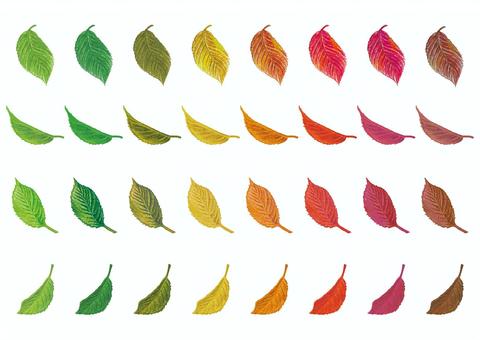 272-葉っぱのセット1 葉,葉っぱ,手描き,手書き,水彩,色鉛筆,ボタニカル,色彩,セット,バリエーションのイラスト素材