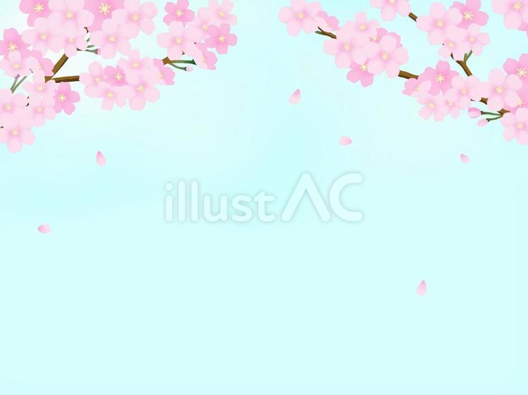 桜（青空） かわいい,装飾,手描きのイラスト素材