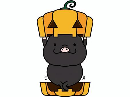 Illustration, halloween, black pig, pig, 