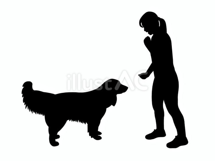 犬のしつけ 犬,しつけ,トレーニングのイラスト素材
