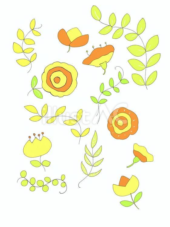 植物（イエロー） 花,フラワー,柄のイラスト素材