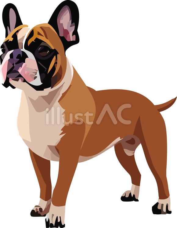 犬 生き物,ペット,犬のイラスト素材