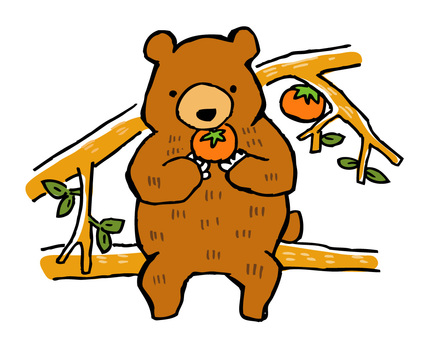 柿の木に登って柿を食べるクマ_カラー クマ,熊,ツキノワグマ,ヒグマ,柿,柿の木,木登り,食べる,柿の実,害獣のイラスト素材