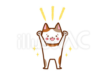 やる気満々猫さん