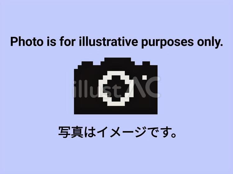 写真はイメージです。 カメラ,ピクセル,イメージのイラスト素材