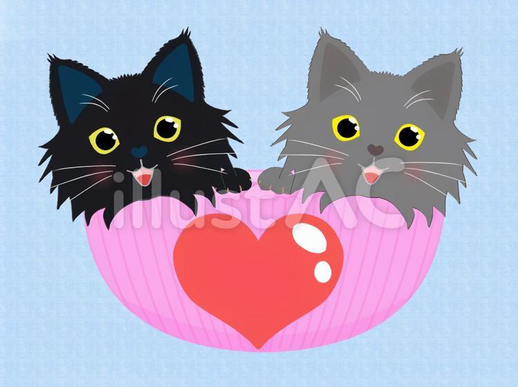 2匹長毛猫3 かわいい,カード,キャラクターのイラスト素材