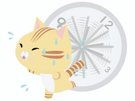 忙しい_猫 忙しい,猫,ちゃとら,動物,かわいい,時間,遅刻のイラスト素材