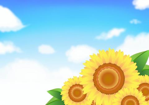 Illustration, sunflower, summer, background, JPG and AI