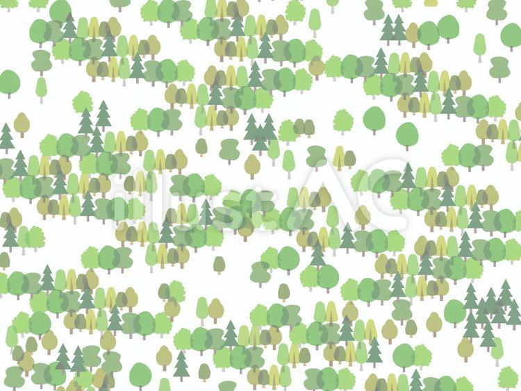 森の背景 森,木,自然のイラスト素材