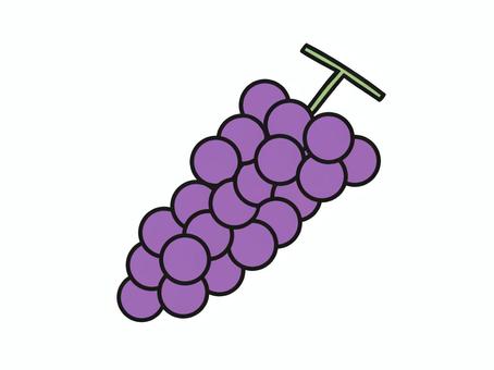 紫色のブドウイラスト 食べ物,果物,ブドウ,粒,茎,秋のイラスト素材