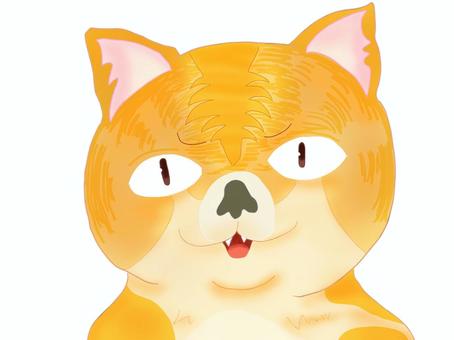 ネコ　睨み ネコ,動物,睨み,ぶさかわ,シンプル,かわいい,手書き,デジタル,オリジナル,イラストのイラスト素材